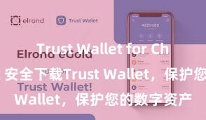 Trust Wallet for Chromebook 安全下载Trust Wallet，保护您的数字资产